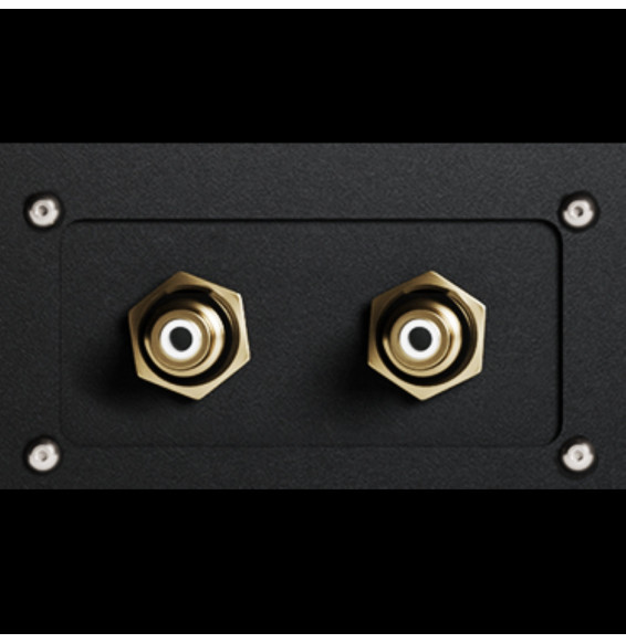 Two gold binding posts on a black panel, for speaker wires or banana plugs, side by side.